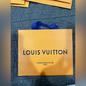 Medium LV shopping bags
